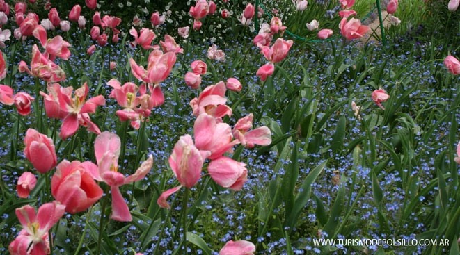 Paisajes impresionistas de Monet en Normandía / Por Pierre Dumas
