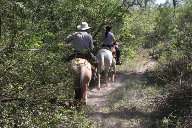 Establecimientos agropecuarios en General José San Martín
