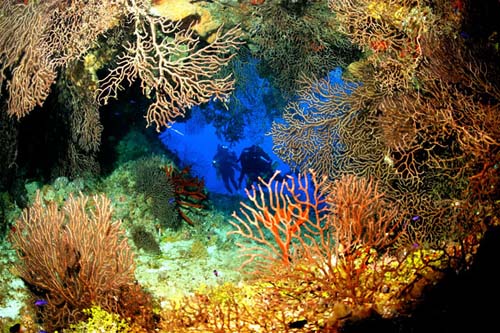 Las mejores experiencias submarinas del Caribe
