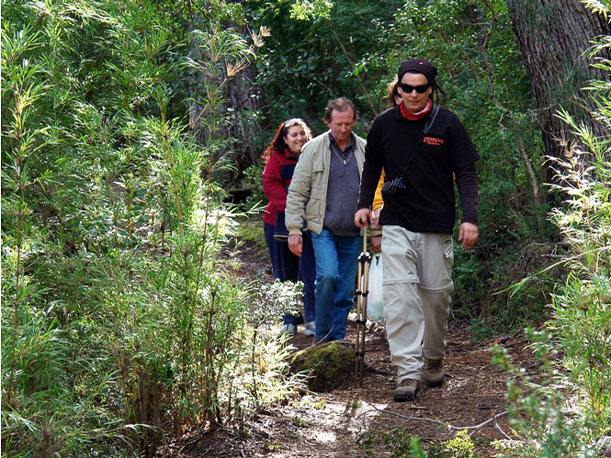 Una opción de caminatas en la región de Esquel

 
