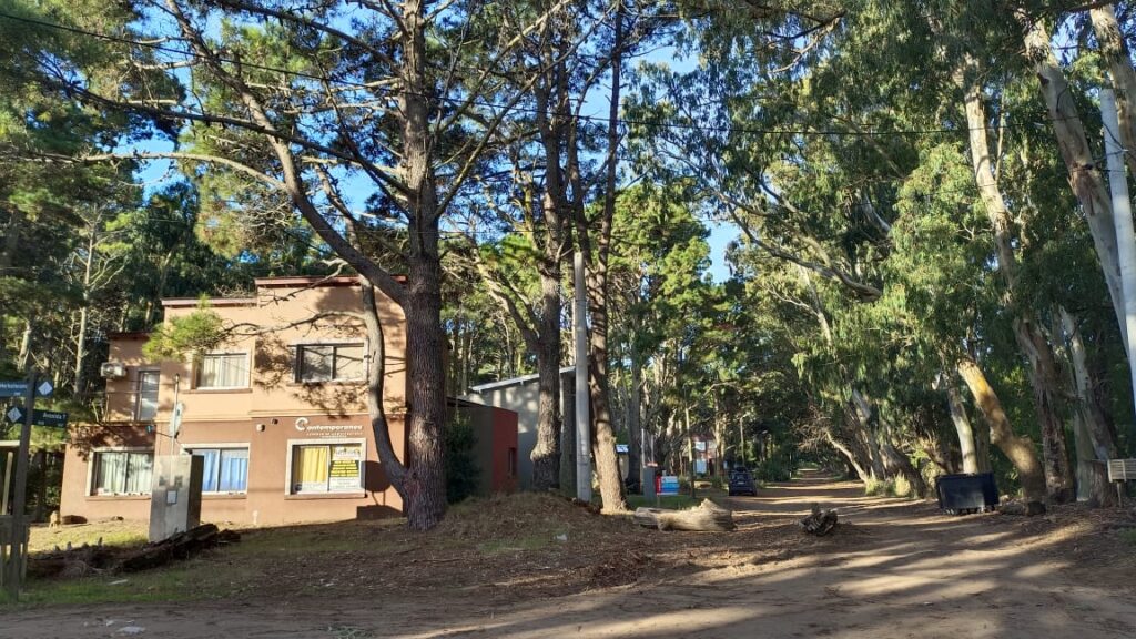 Bosque en Costa del Este, la playa del Millón de pinos