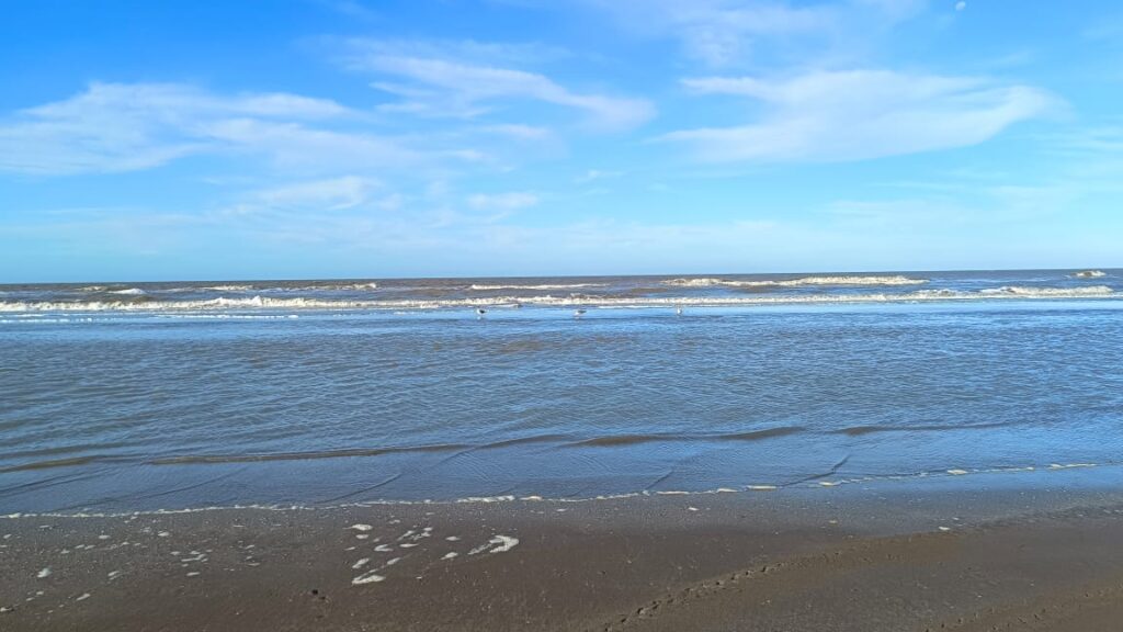 Mar de Costa del Este, la playa del millón de pinos