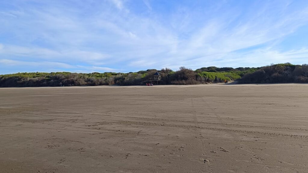 Playa de Costa del Este