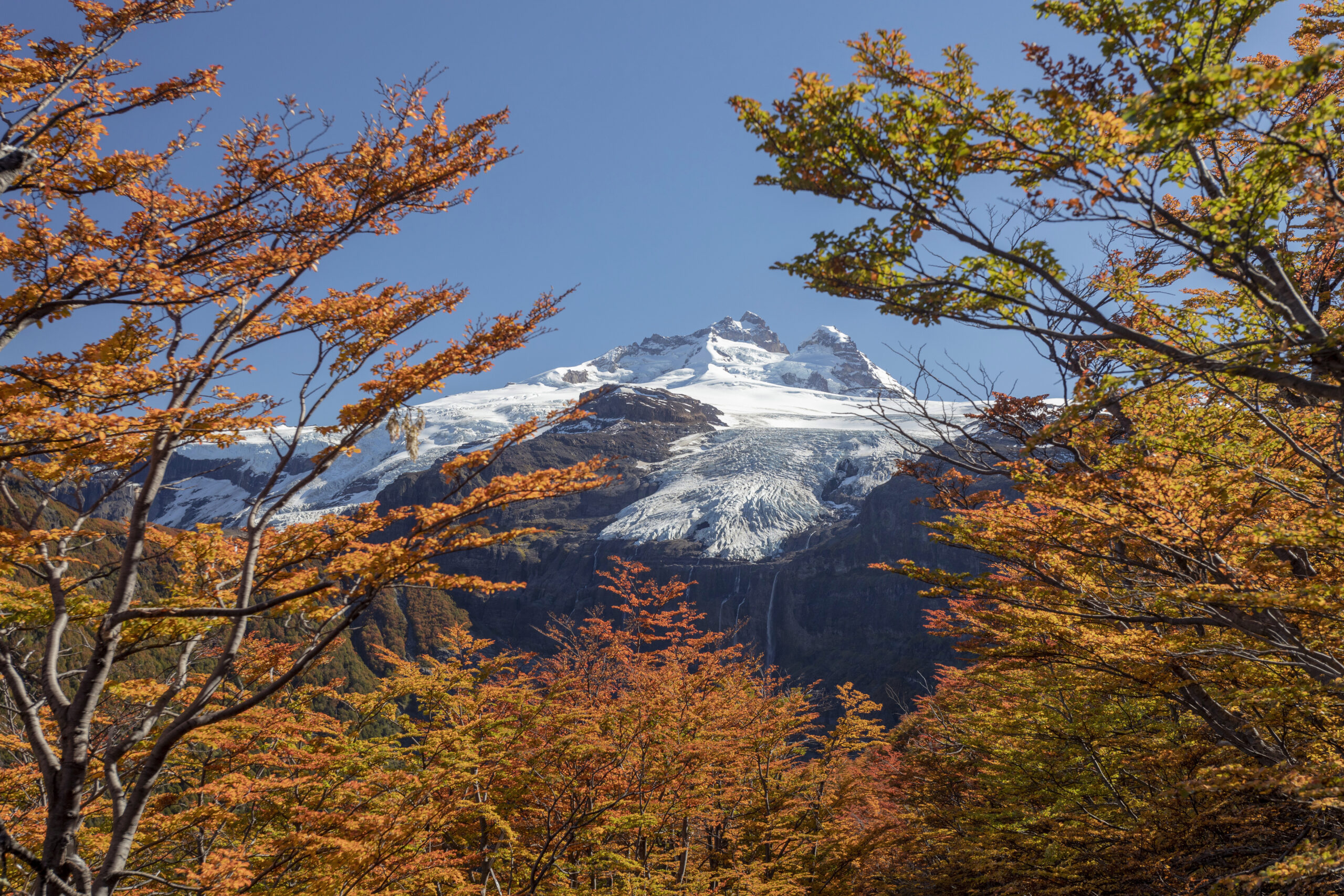 Llegaron los Barichecks, para viajar con descuento a Bariloche en otoño
