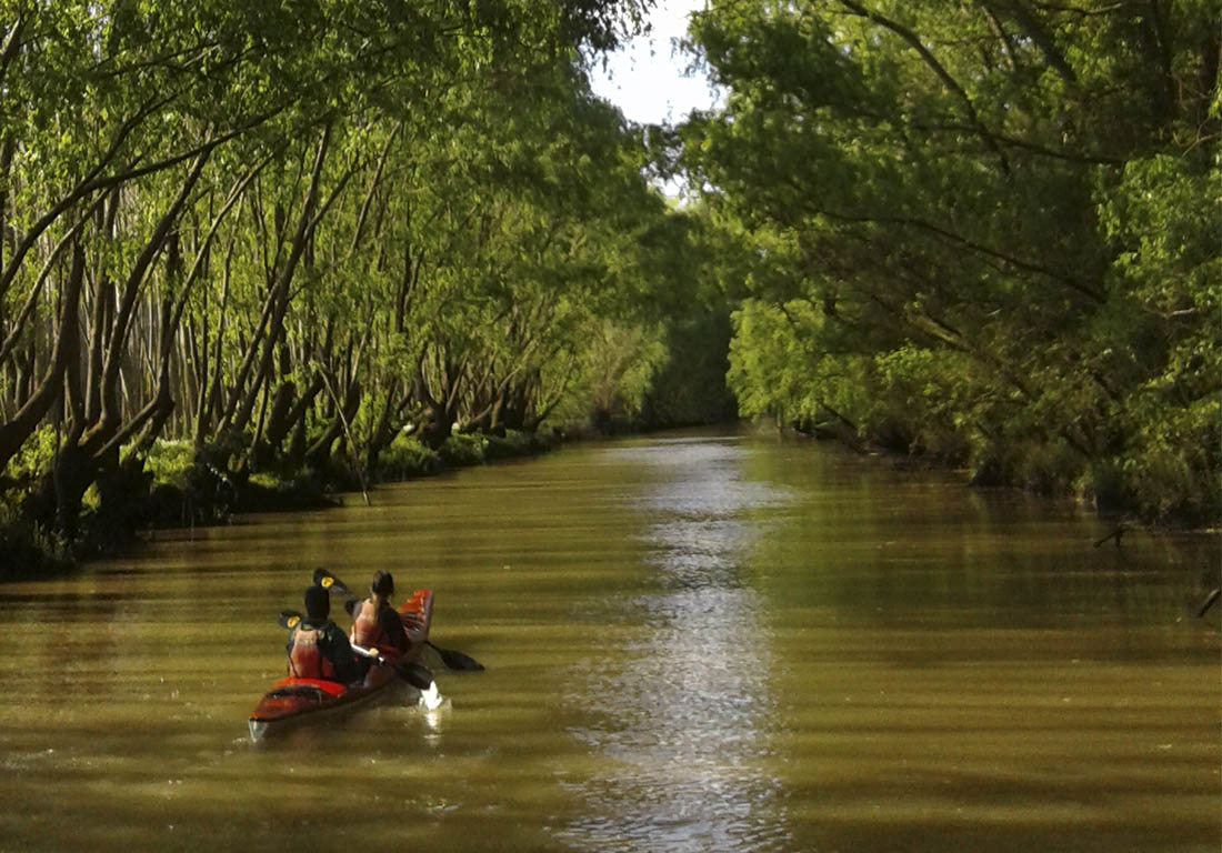 Nuevas experiencias en kayak, lodges boutique y turismo de escapadas desde Buenos Aires en el Delta del Paraná