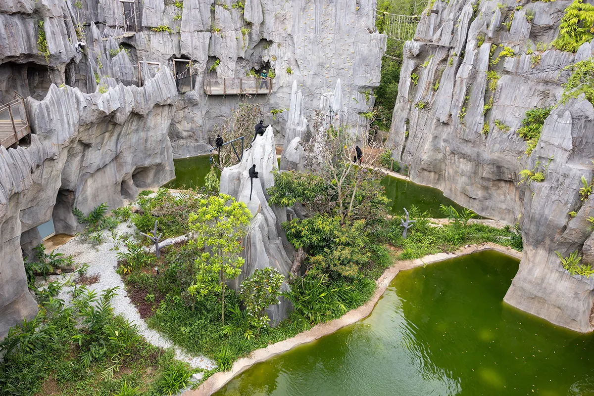 Rainforest Wild Asia, una nueva experiencia de selva y aventura en Singapur