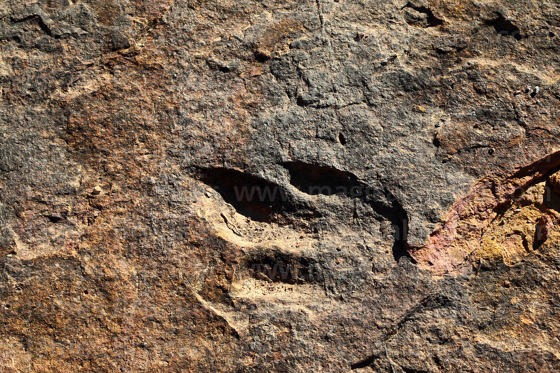 Gracias al hallazgo de 16.600 huellas de dinosaurios el sitio de Toro Toro quiere convertirse en el mayor destino paleontológico del mundo