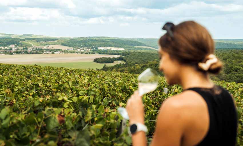 Viaje al corazón de la región donde se produce el champagne, el rey de los vinos y el vino de los reyes