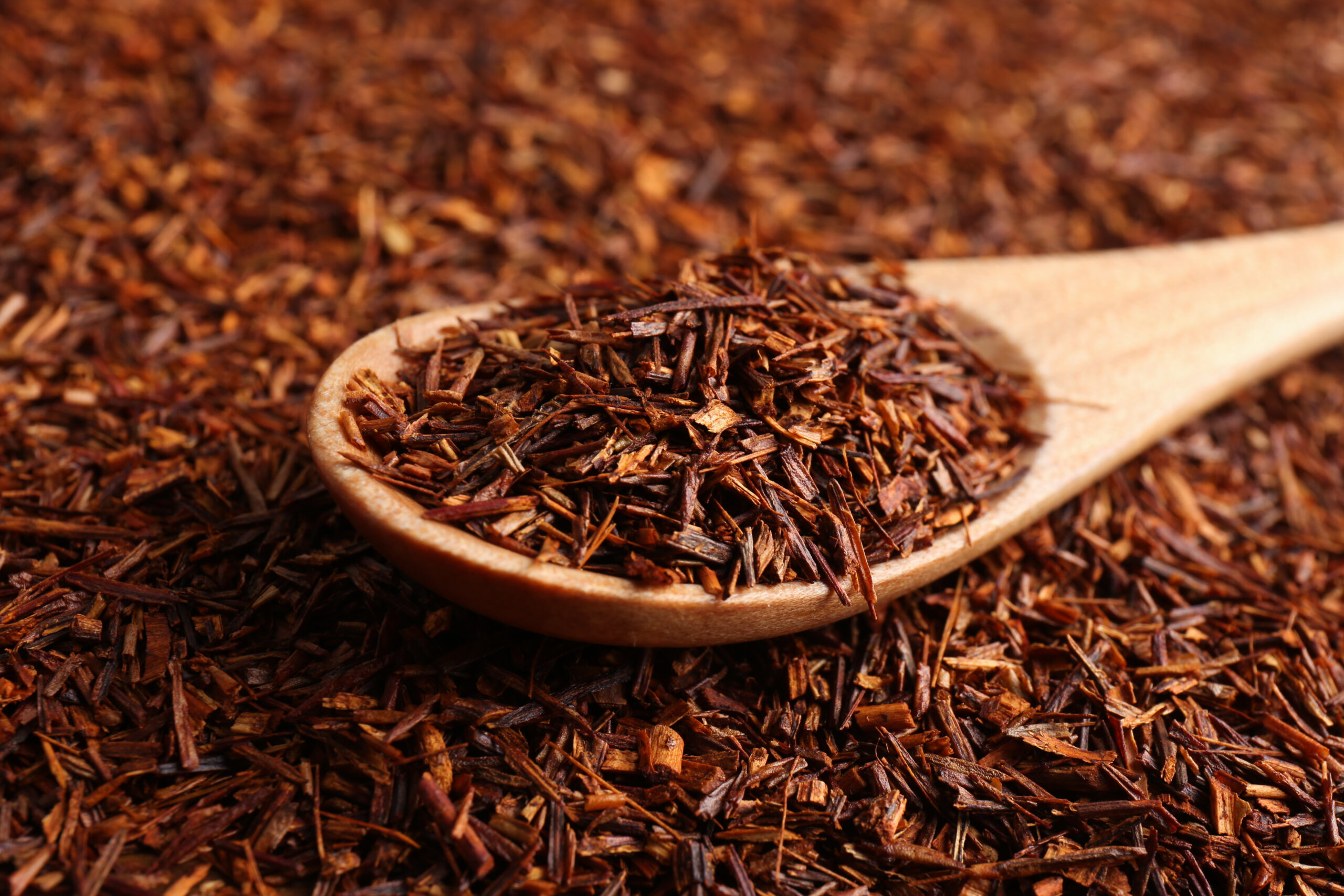 Rooibos: qué es, por qué no es un té y cómo se convirtió en una infusión cada vez más popular