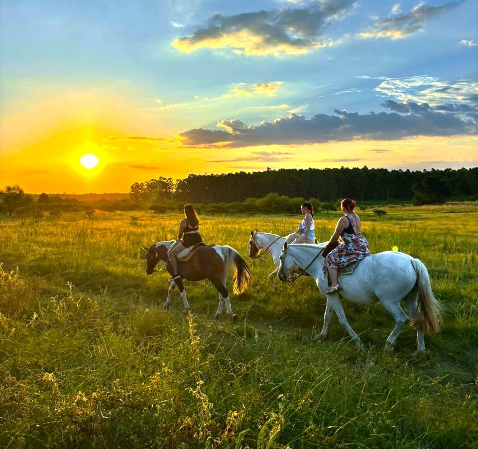 Concordia, Entre Ríos: un destino ideal y completo para  escapadas y fines de semana largos