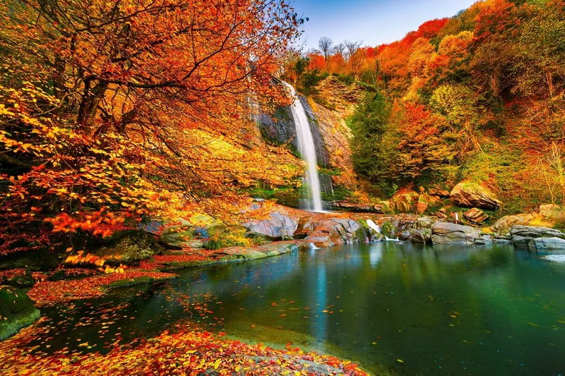 Otoño en la Argentina, dónde ver los bosques más coloridos del país