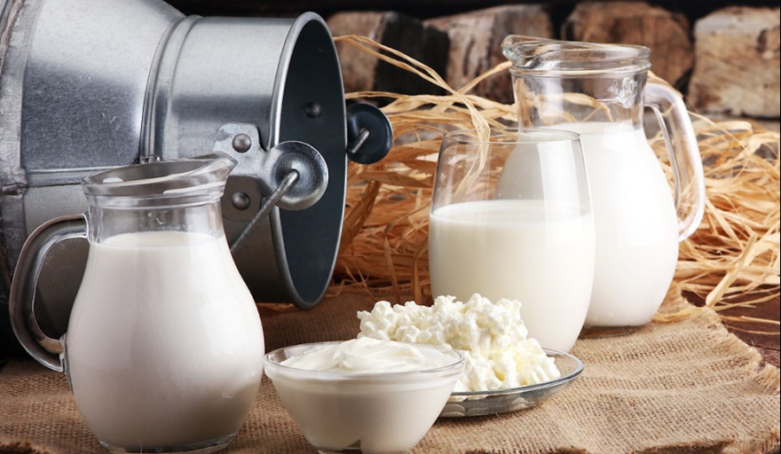 Arranca Expo Leche Nogoyá 2026. Una guía para disfrutar de la capital láctea de Entre Ríos