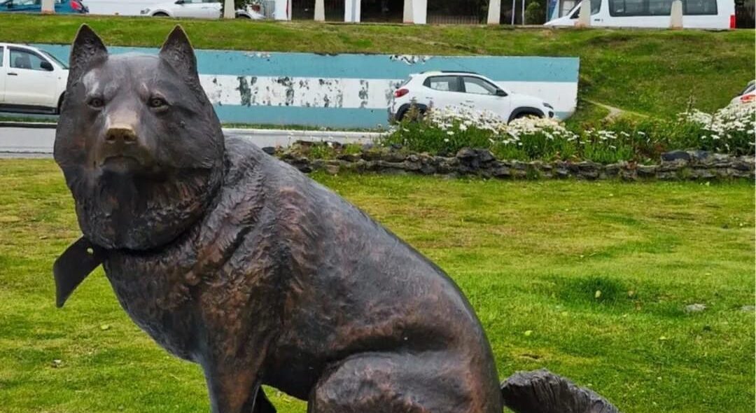 Poncho, el perro polar argentino, ya tiene su estatua en Ushuaia: dónde está y por qué se convierte en un nuevo atractivo turístico
