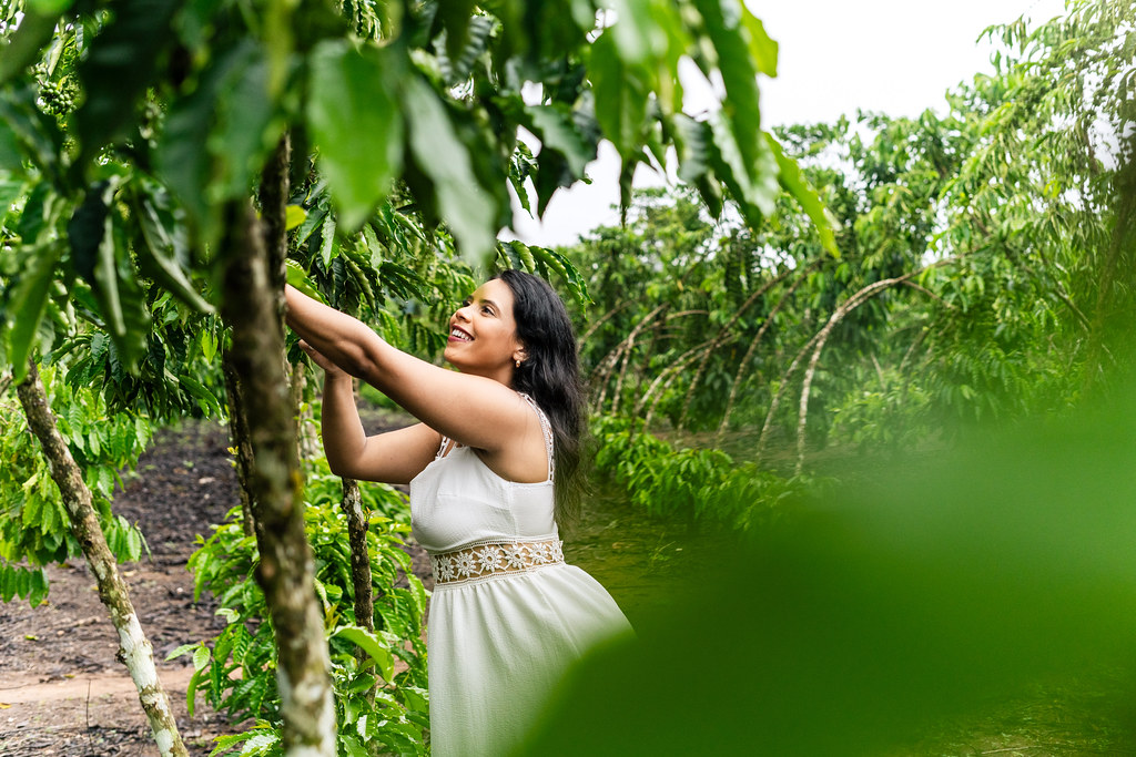 Del grano a la taza: las rutas del café en Brasil