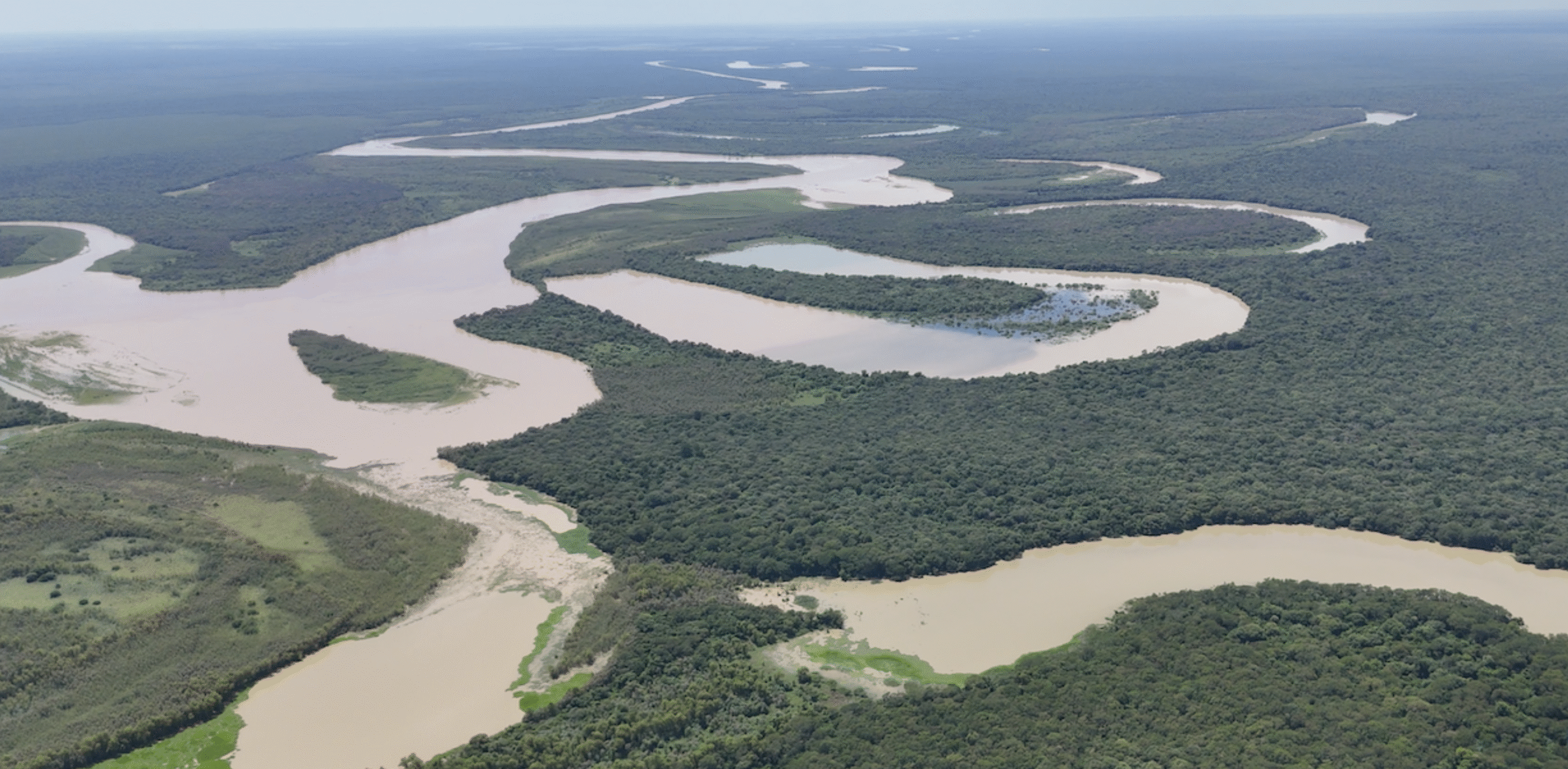 Los desbordes del Río Bermejo, un fenómeno natural clave para la vida silvestre del monte chaqueño