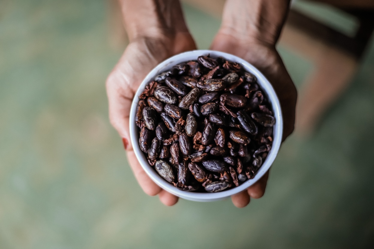 Una experiencia turística, gastronómica y cultural en torno al cacao, en Bahía