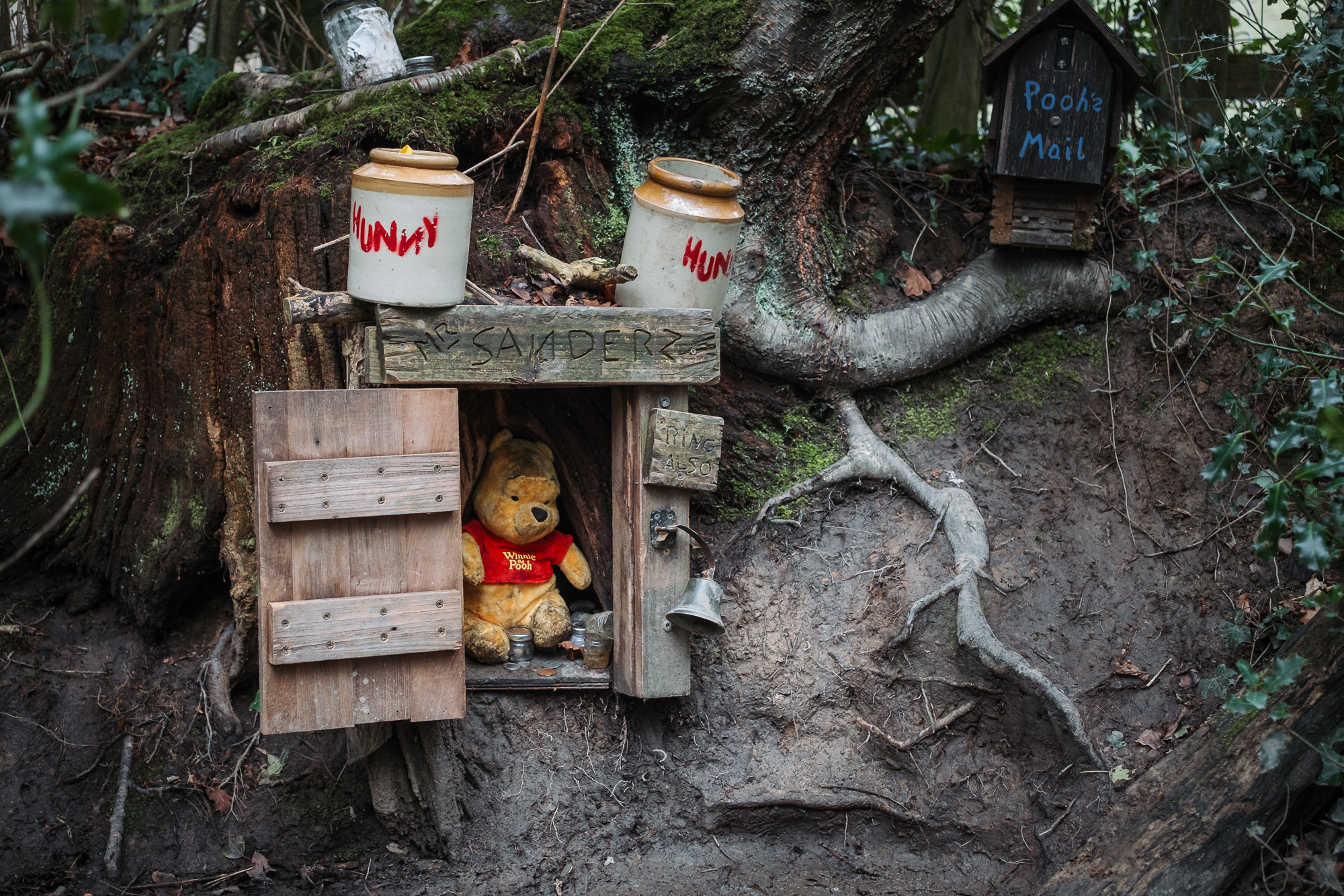 Para los 100 años de Winnie Pooh, una visita a la selva inglesa que inspiró el Bosque de los Cien Acres
