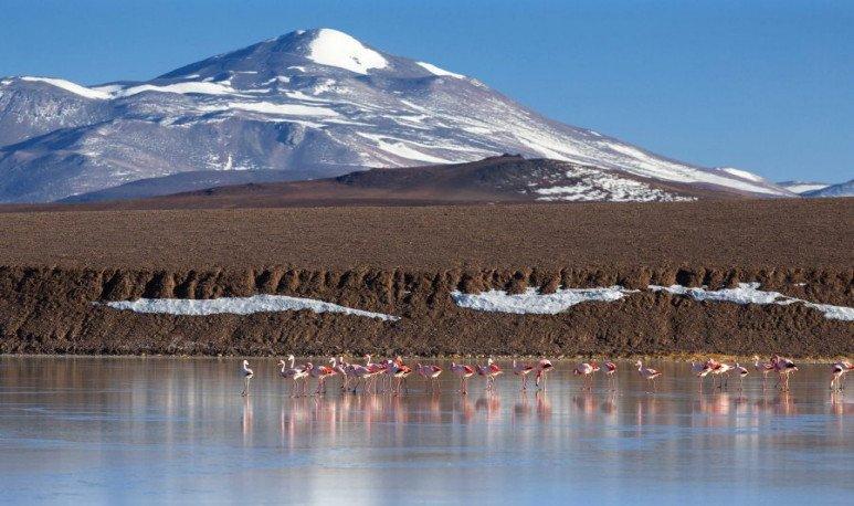 Laguna Brava: flamencos, volcanes y un paisaje extremo en la cordillera argentina de La Rioja