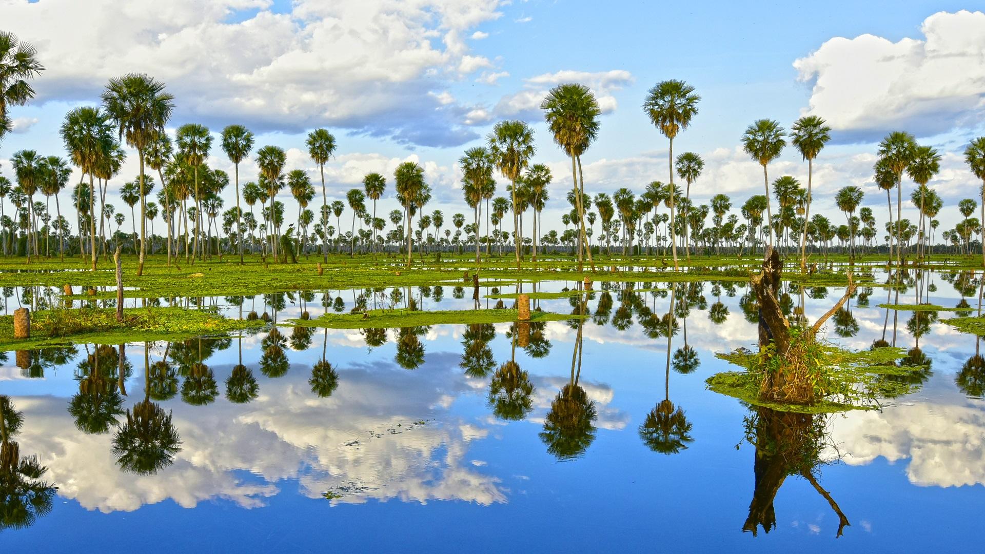 Río Pilcomayo, un humedal cambiante del norte argentino donde el paisaje nunca es igual