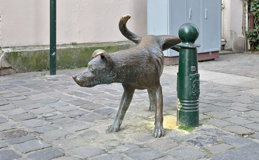Los hermanos “Pis” de Bruselas tienen un perro. Levanta la pata en el viejo centro histórico