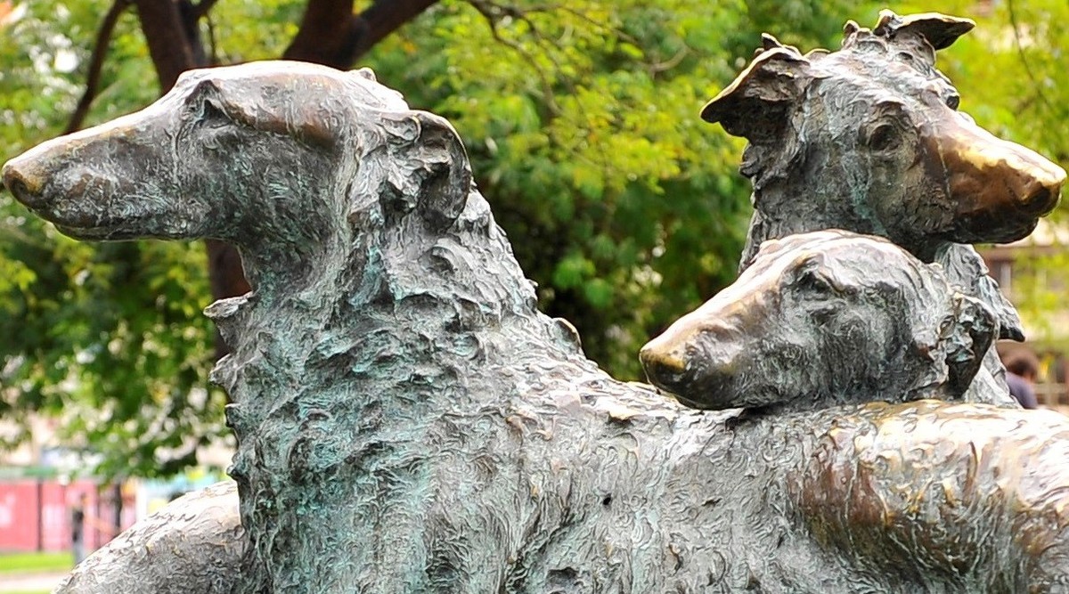 Hocicos de bronce y marmol: un recorrido por los monumentos a los perros en Buenos Aires