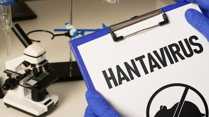 El hantavirus en 6 preguntas