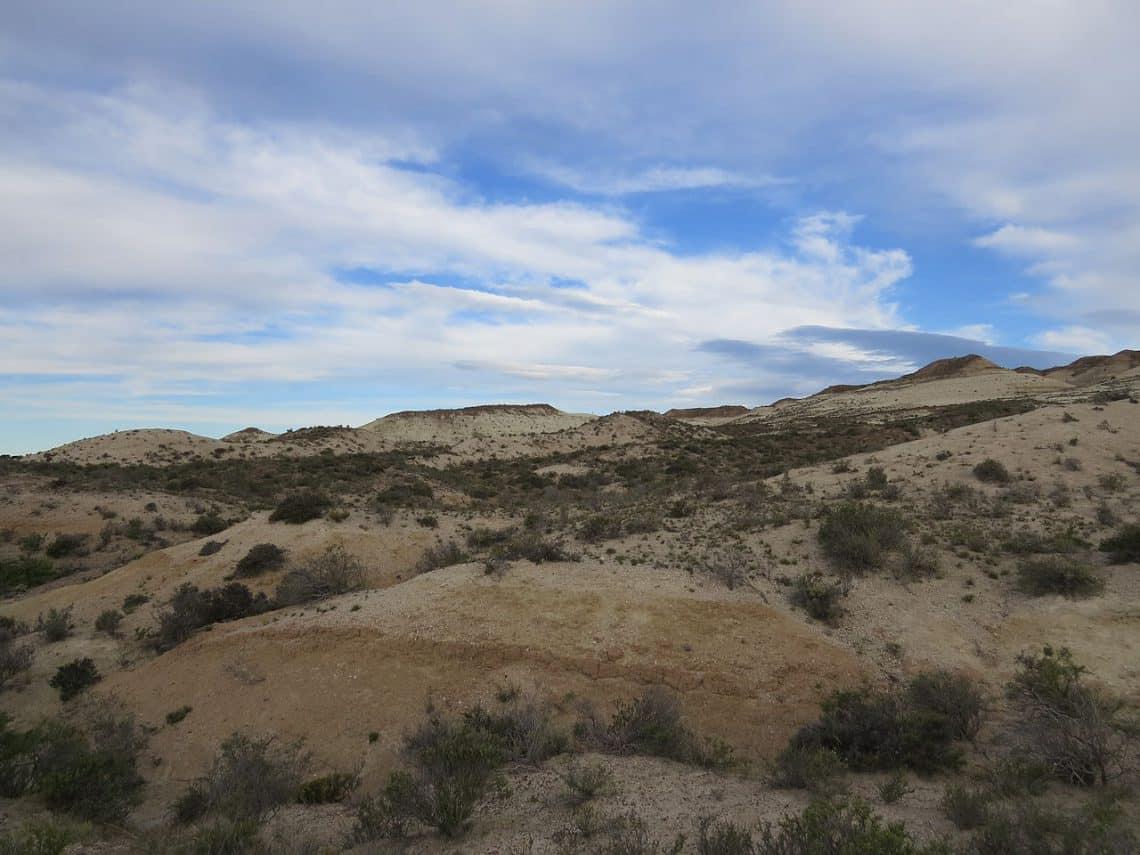 El mar petrificado de Chubut: el lugar donde todavía aparecen ballenas fósiles de hace millones de años