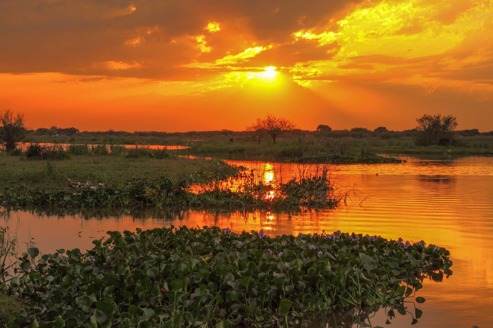 Islas del Paraná, el Amazonas argentino que pocos conocen