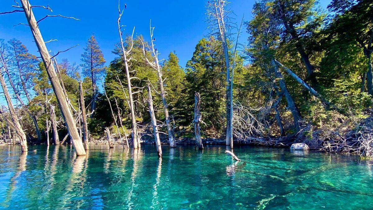 El bosque sumergido de Villa Traful: el misterioso paisaje submarino de la Patagonia argentina