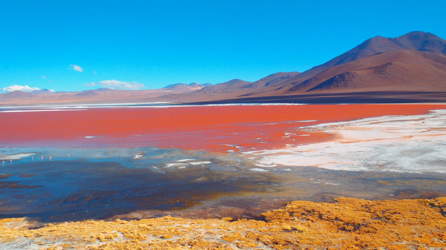 Volcán Galán: la caldera gigante de Catamarca que esconde lagunas, salares y uno de los paisajes más extremos del país