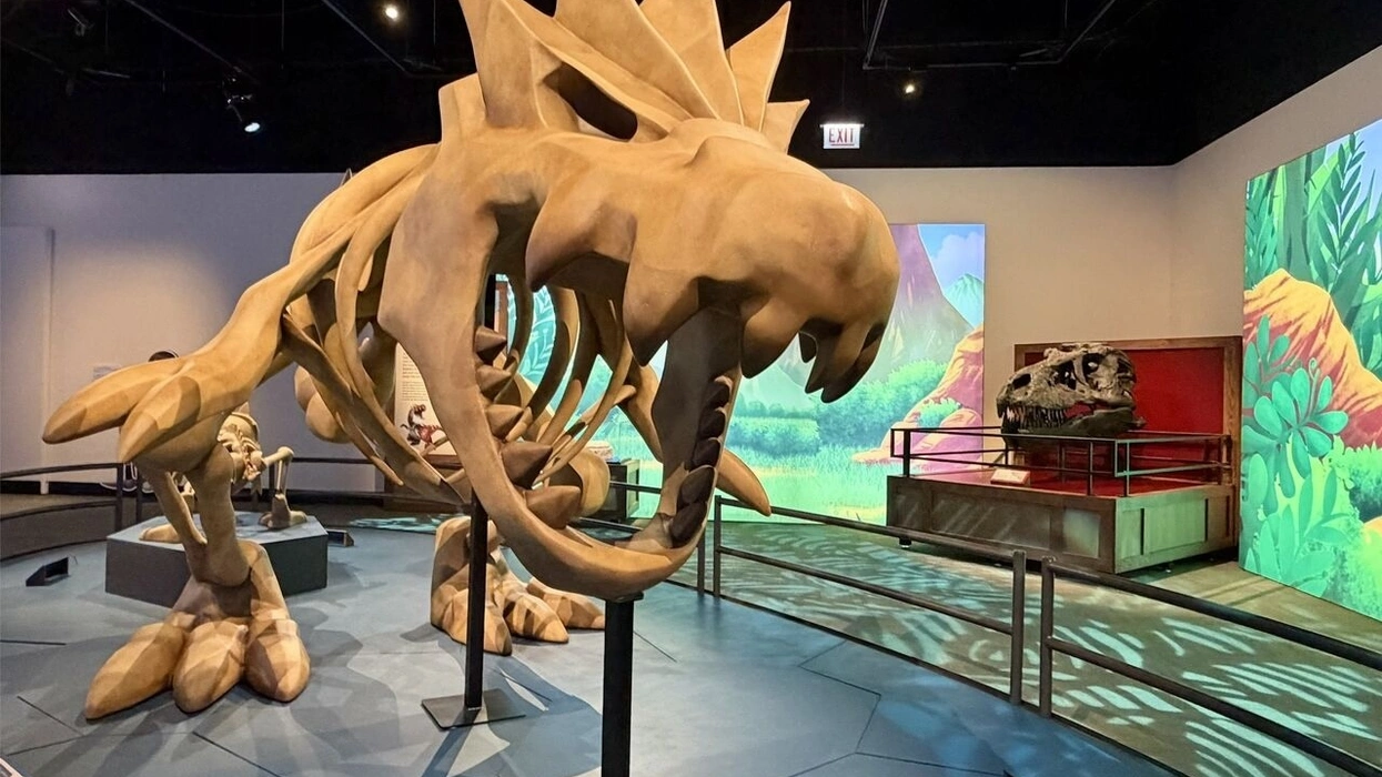 Una insólita muestra de “fósiles” de Pokemon en el Field Museum de Chicago.
