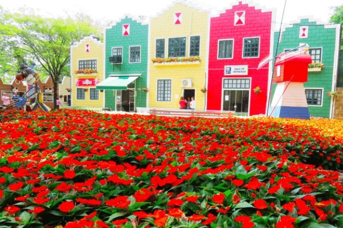 Holambra, la ciudad más holandesa de Brasil donde todo el año es temporada de flores
