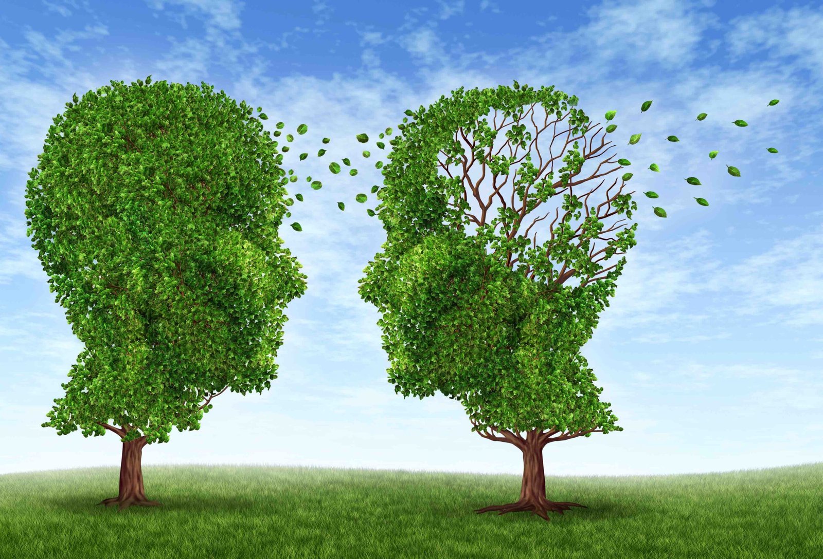 Amnesia ambiental: por qué cada generación puede aceptar como normal una naturaleza cada vez más pobre