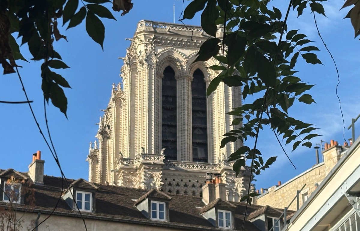Una visita excepcional a las torres de la catedral de Notre-Dame, en París