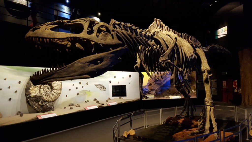 La Argentina es el país de los dinosaurios y también es el país de los museos de dinosaurios