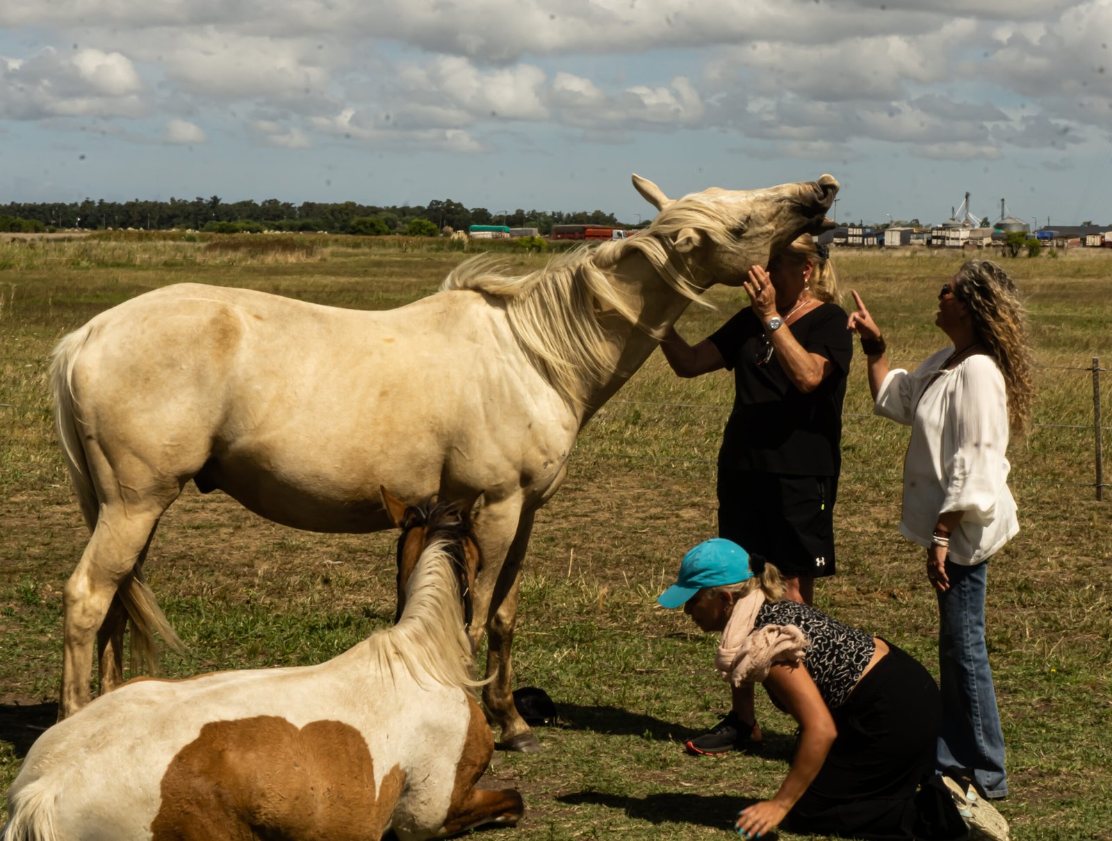 Caballos, naturaleza y emociones: una experiencia de Equinomancia para el fin de semana del Día de la Madre