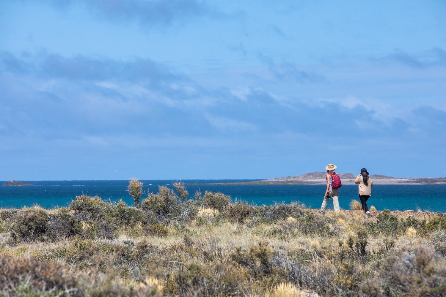 Acampe gratuito frente al mar: el secreto de Chubut para desconectarse este verano